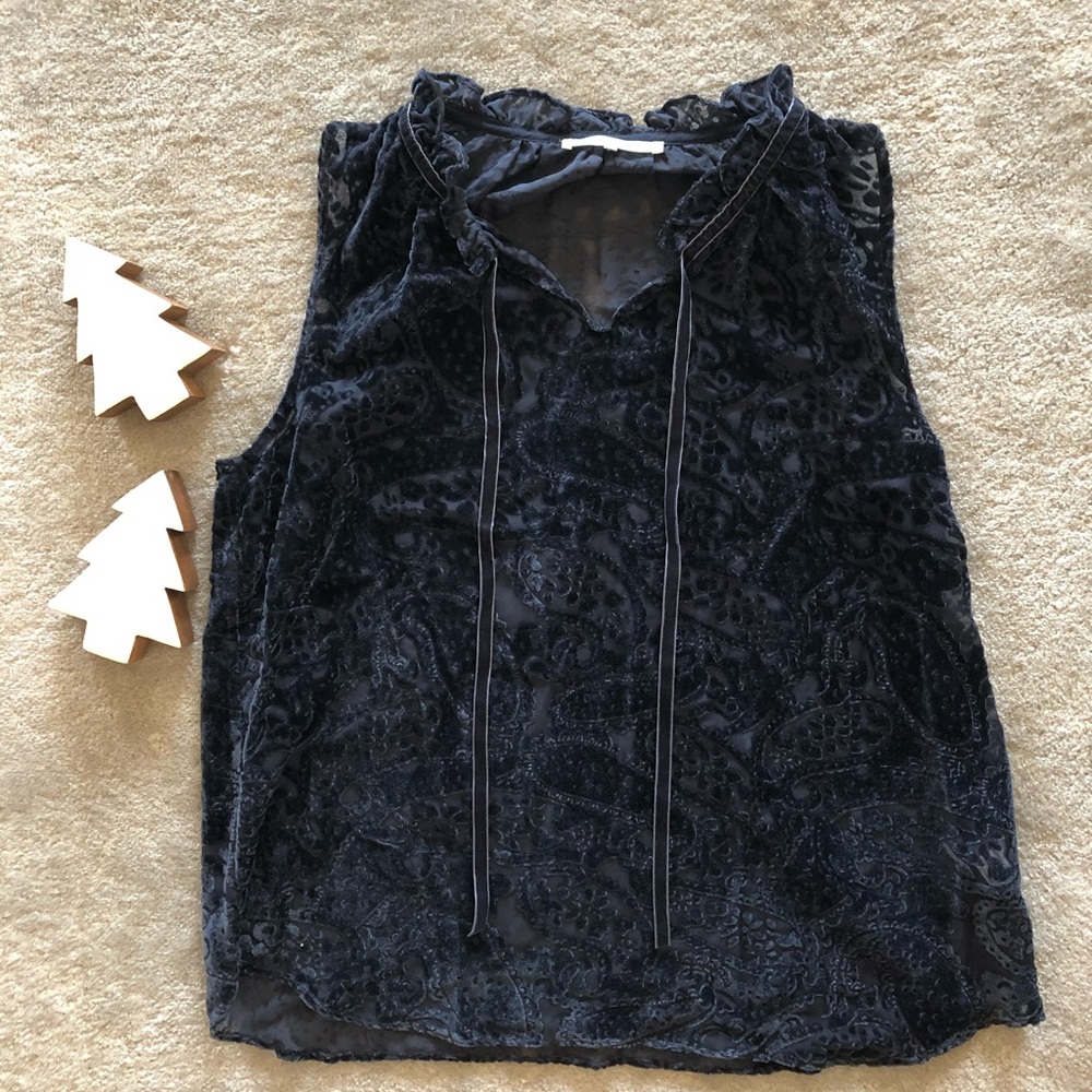 Violet & Claire Beautiful Burnout Velvet Top